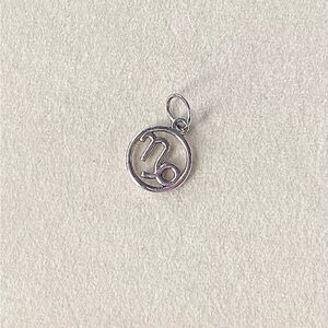 Silver Capricorn Zodiac Charm